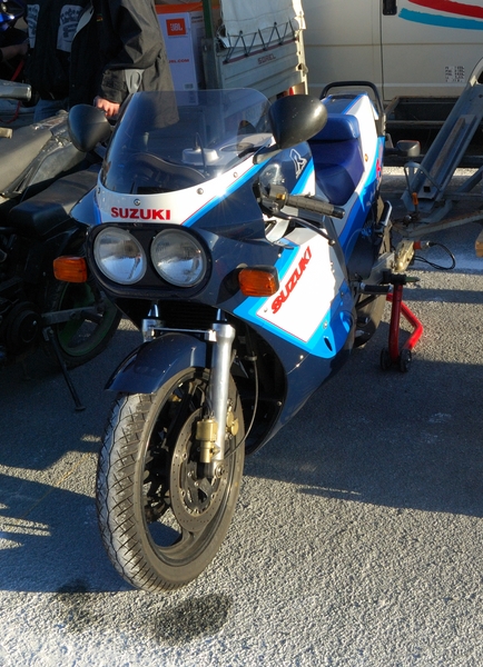 Puce_Niort_2009_024 [800x600].jpg